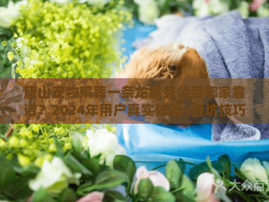 唐山宠物殡葬一条龙服务公司哪家靠谱？2024年用户真实体验+避坑技巧