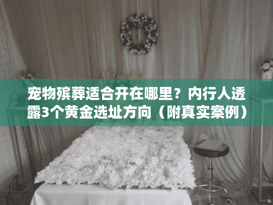 宠物殡葬适合开在哪里？内行人透露3个黄金选址方向（附真实案例）