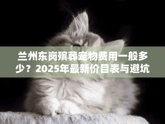 兰州东岗殡葬宠物费用一般多少？2025年最新价目表与避坑指南