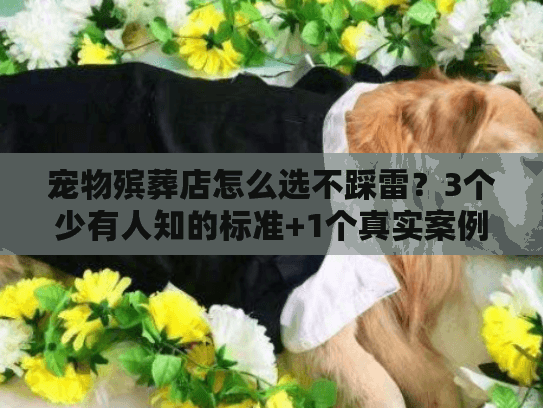宠物殡葬店怎么选不踩雷?3个少有人知的标准+1个真实案例告诉你 宠物殡葬店怎么选不踩雷?3个少有人知的标准+1个真实案例告诉你