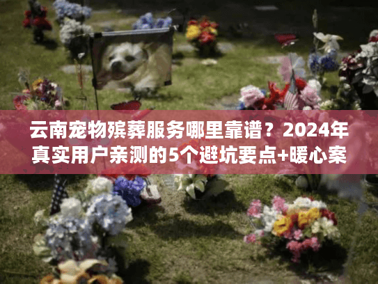 云南宠物殡葬服务哪里靠谱？2024年真实用户亲测的5个避坑要点+暖心案例