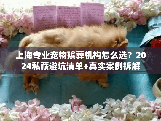 上海专业宠物殡葬机构怎么选？2024私藏避坑清单+真实案例拆解