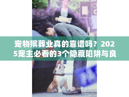 宠物殡葬业真的靠谱吗?2025宠主必看的3个隐藏陷阱与良心选择技巧 宠物殡葬业真的靠谱吗?2025宠主必看的3个隐藏陷阱与良心选择技巧