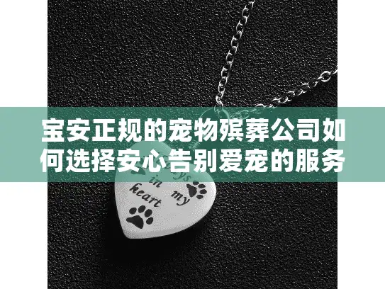 宝安正规的宠物殡葬公司如何选择安心告别爱宠的服务？