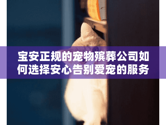 宝安正规的宠物殡葬公司如何选择安心告别爱宠的服务？