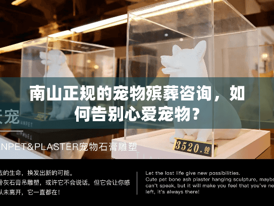 南山正规的宠物殡葬咨询，如何告别心爱宠物？
