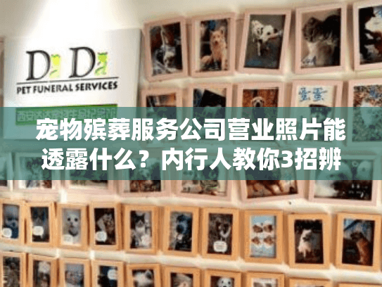 宠物殡葬服务公司营业照片能透露什么？内行人教你3招辨靠谱（附真实案例）