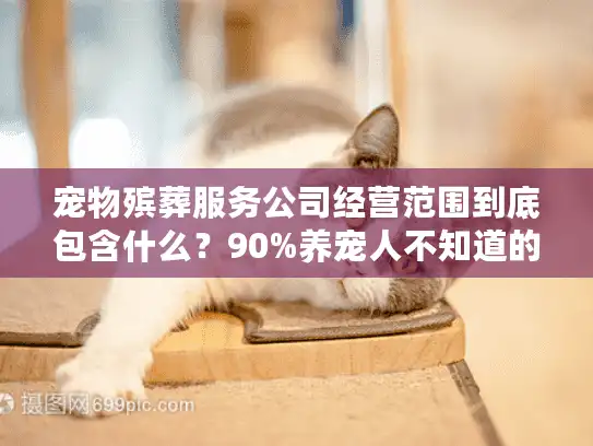 宠物殡葬服务公司经营范围到底包含什么？90%养宠人不知道的3大隐藏业务
