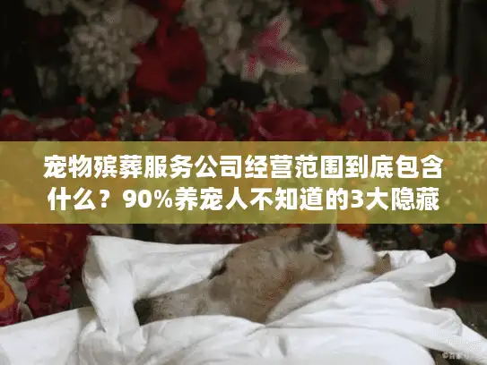 宠物殡葬服务公司经营范围到底包含什么？90%养宠人不知道的3大隐藏业务