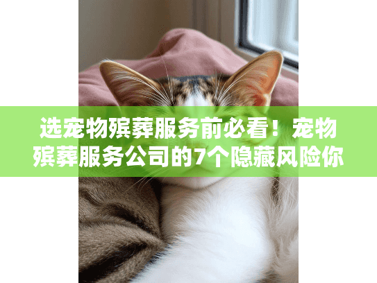 选宠物殡葬服务前必看！宠物殡葬服务公司的7个隐藏风险你知道吗？