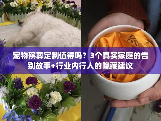 宠物殡葬定制值得吗?3个真实家庭的告别故事+行业内行人的隐藏建议 宠物殡葬定制值得吗?3个真实家庭的告别故事+行业内行人的隐藏建议