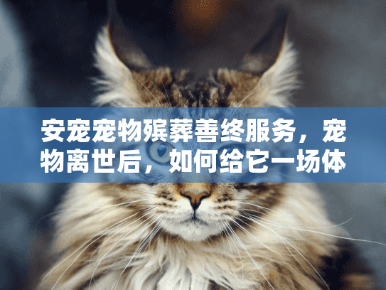 安宠宠物殡葬善终服务，宠物离世后，如何给它一场体面的告别？