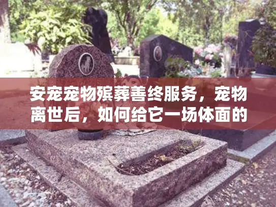 安宠宠物殡葬善终服务，宠物离世后，如何给它一场体面的告别？