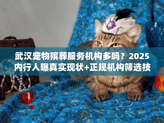 武汉宠物殡葬服务机构多吗？2025内行人曝真实现状+正规机构筛选技巧