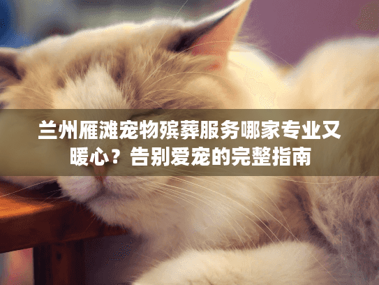 兰州雁滩宠物殡葬服务哪家专业又暖心？告别爱宠的完整指南