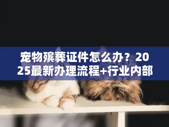 宠物殡葬证件怎么办？2025最新办理流程+行业内部避坑技巧