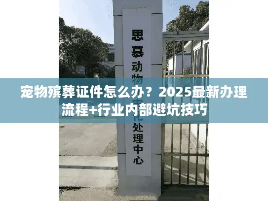 宠物殡葬证件怎么办？2025最新办理流程+行业内部避坑技巧