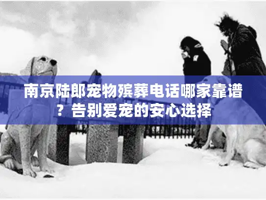 南京陆郎宠物殡葬电话哪家靠谱？告别爱宠的安心选择