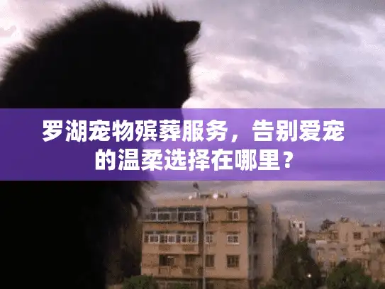 罗湖宠物殡葬服务，告别爱宠的温柔选择在哪里？