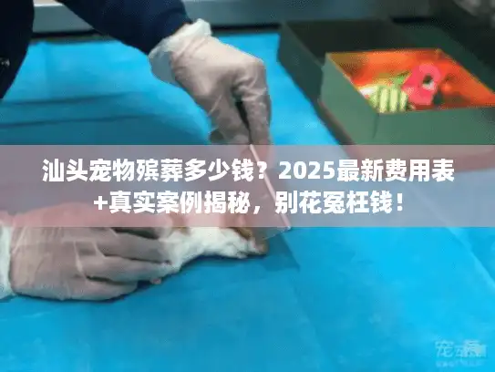 汕头宠物殡葬多少钱？2025最新费用表+真实案例揭秘，别花冤枉钱！