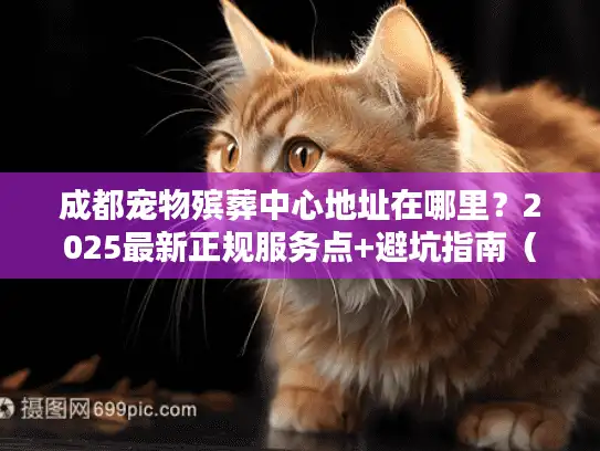成都宠物殡葬中心地址在哪里？2025最新正规服务点+避坑指南（主人必藏）