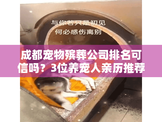 成都宠物殡葬公司排名可信吗?3位养宠人亲历推荐+避坑技巧(2025实测) 成都宠物殡葬公司排名可信吗?3位养宠人亲历推荐+避坑技巧(2025实测)