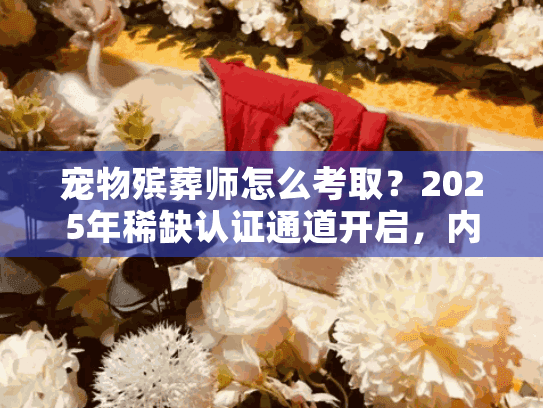 宠物殡葬师怎么考取?2025年稀缺认证通道开启,内行人教你避开90%的坑 宠物殡葬师怎么考取?2025年稀缺认证通道开启,内行人教你避开90%的坑