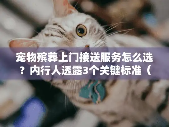 宠物殡葬上门接送服务怎么选？内行人透露3个关键标准（附真实案例）