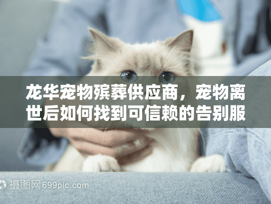 龙华宠物殡葬供应商,宠物离世后如何找到可信赖的告别服务? 龙华宠物殡葬供应商,宠物离世后如何找到可信赖的告别服务?