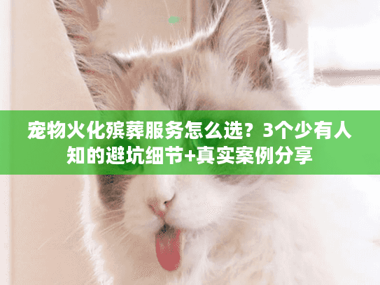 宠物火化殡葬服务怎么选？3个少有人知的避坑细节+真实案例分享