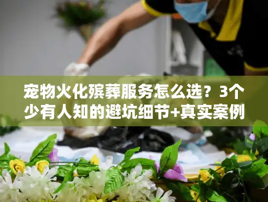 宠物火化殡葬服务怎么选？3个少有人知的避坑细节+真实案例分享