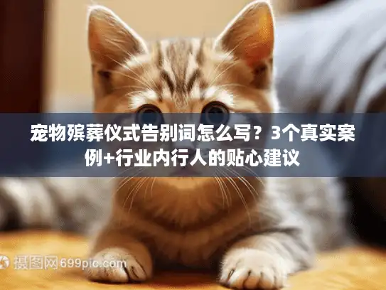 宠物殡葬仪式告别词怎么写？3个真实案例+行业内行人的贴心建议