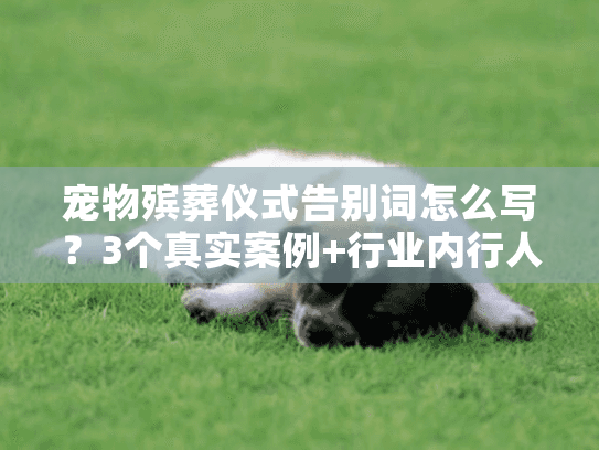 宠物殡葬仪式告别词怎么写？3个真实案例+行业内行人的贴心建议