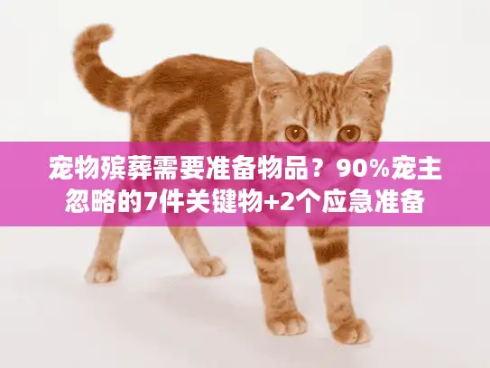 宠物殡葬需要准备物品？90%宠主忽略的7件关键物+2个应急准备