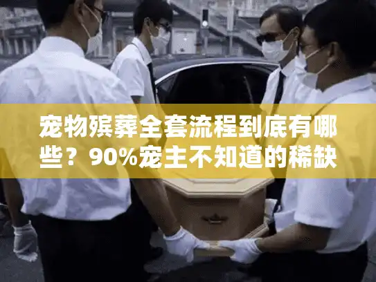 宠物殡葬全套流程到底有哪些？90%宠主不知道的稀缺细节全公开！