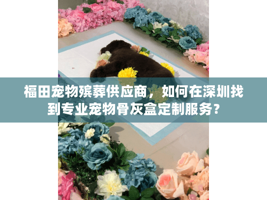 福田宠物殡葬供应商，如何在深圳找到专业宠物骨灰盒定制服务？