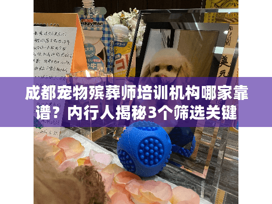 成都宠物殡葬师培训机构哪家靠谱？内行人揭秘3个筛选关键