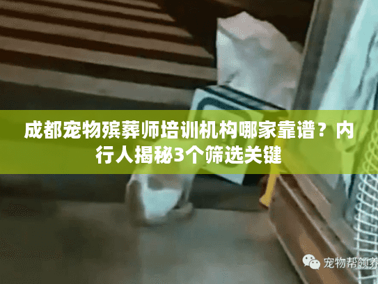 成都宠物殡葬师培训机构哪家靠谱？内行人揭秘3个筛选关键