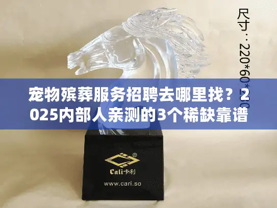 宠物殡葬服务招聘去哪里找？2025内部人亲测的3个稀缺靠谱渠道