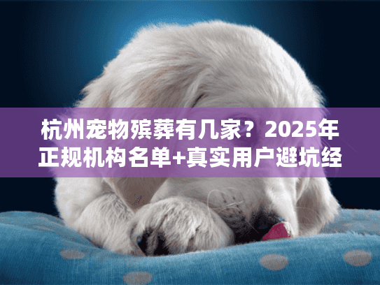 杭州宠物殡葬有几家？2025年正规机构名单+真实用户避坑经验