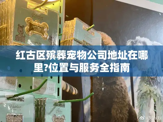 红古区殡葬宠物公司地址在哪里?位置与服务全指南