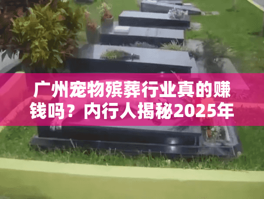 广州宠物殡葬行业真的赚钱吗？内行人揭秘2025年真实盈利逻辑与避坑要点