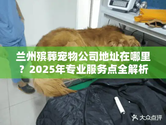 兰州殡葬宠物公司地址在哪里？2025年专业服务点全解析