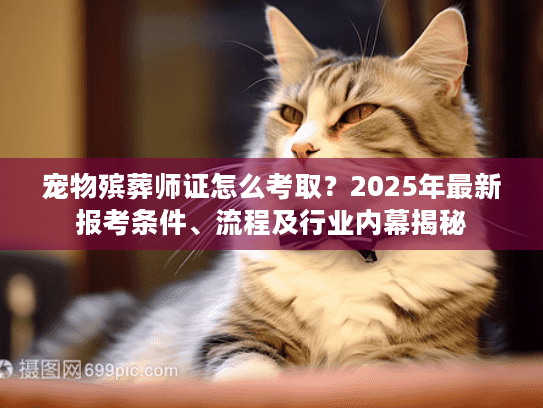 宠物殡葬师证怎么考取？2025年最新报考条件、流程及行业内幕揭秘