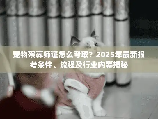 宠物殡葬师证怎么考取？2025年最新报考条件、流程及行业内幕揭秘