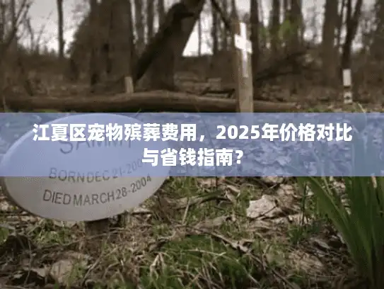 江夏区宠物殡葬费用，2025年价格对比与省钱指南？