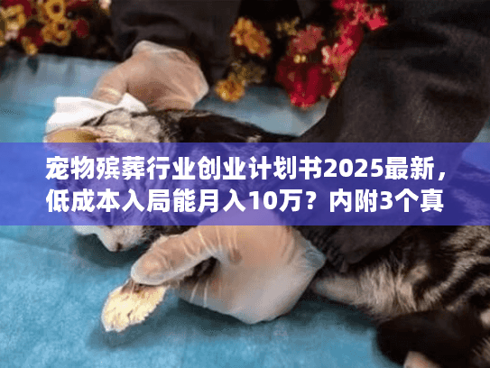 宠物殡葬行业创业计划书2025最新，低成本入局能月入10万？内附3个真实案例