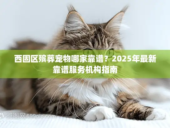 西固区殡葬宠物哪家靠谱？2025年最新靠谱服务机构指南
