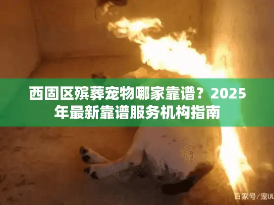 西固区殡葬宠物哪家靠谱？2025年最新靠谱服务机构指南