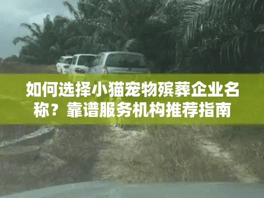 如何选择小猫宠物殡葬企业名称？靠谱服务机构推荐指南